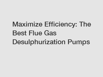 Maximize Efficiency: The Best Flue Gas Desulphurization Pumps