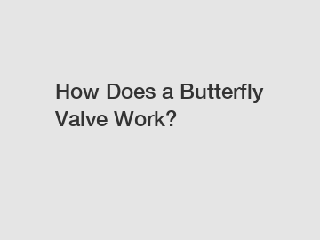 How Does a Butterfly Valve Work?