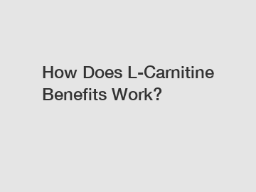 How Does L-Carnitine Benefits Work?