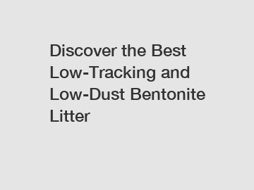 Discover the Best Low-Tracking and Low-Dust Bentonite Litter