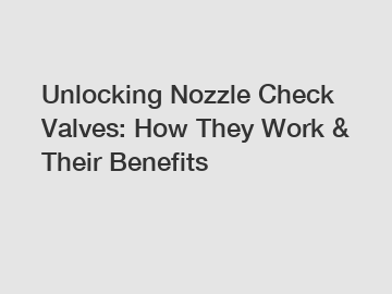 Unlocking Nozzle Check Valves: How They Work & Their Benefits