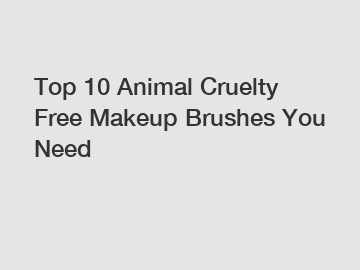 Top 10 Animal Cruelty Free Makeup Brushes You Need