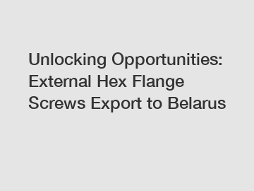 Unlocking Opportunities: External Hex Flange Screws Export to Belarus