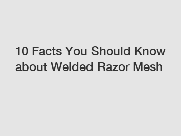 10 Facts You Should Know about Welded Razor Mesh