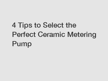 4 Tips to Select the Perfect Ceramic Metering Pump