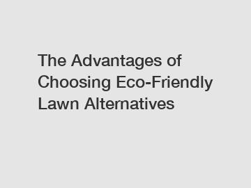 The Advantages of Choosing Eco-Friendly Lawn Alternatives