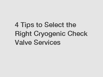 4 Tips to Select the Right Cryogenic Check Valve Services