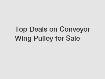 Top Deals on Conveyor Wing Pulley for Sale Top Deals on Conveyor Wing Pulley for Sale
