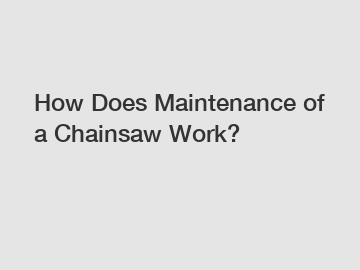 How Does Maintenance of a Chainsaw Work?