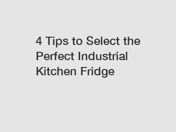 4 Tips to Select the Perfect Industrial Kitchen Fridge