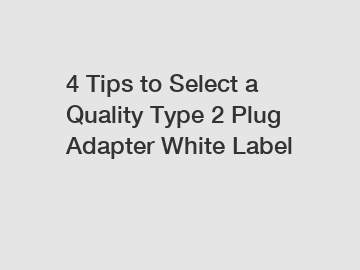 4 Tips to Select a Quality Type 2 Plug Adapter White Label