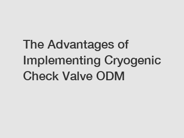 The Advantages of Implementing Cryogenic Check Valve ODM