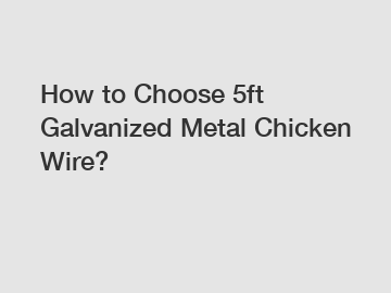 How to Choose 5ft Galvanized Metal Chicken Wire?