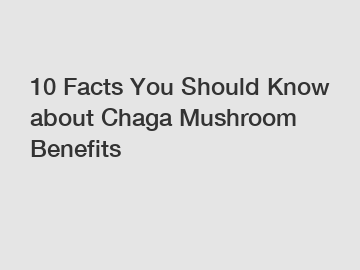 10 Facts You Should Know about Chaga Mushroom Benefits 10 Facts You Should Know about Chaga Mushroom Benefits