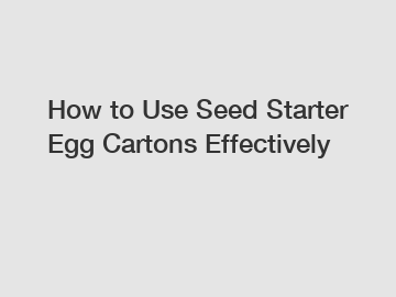 How to Use Seed Starter Egg Cartons Effectively