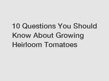 10 Questions You Should Know About Growing Heirloom Tomatoes