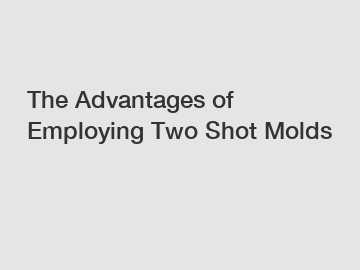 The Advantages of Employing Two Shot Molds
