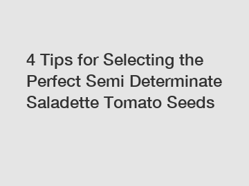 4 Tips for Selecting the Perfect Semi Determinate Saladette Tomato Seeds