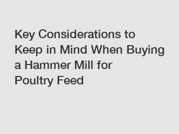Key Considerations to Keep in Mind When Buying a Hammer Mill for Poultry Feed