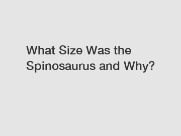 What Size Was the Spinosaurus and Why?