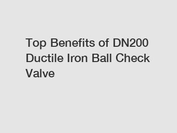 Top Benefits of DN200 Ductile Iron Ball Check Valve