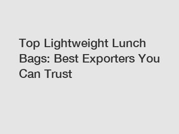 Top Lightweight Lunch Bags: Best Exporters You Can Trust