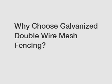 Why Choose Galvanized Double Wire Mesh Fencing?
