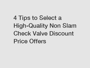 4 Tips to Select a High-Quality Non Slam Check Valve Discount Price Offers