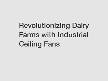 Revolutionizing Dairy Farms with Industrial Ceiling Fans