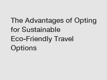 The Advantages of Opting for Sustainable Eco-Friendly Travel Options