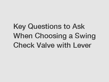 Key Questions to Ask When Choosing a Swing Check Valve with Lever