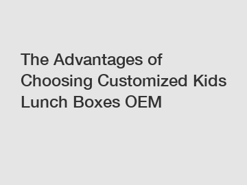 The Advantages of Choosing Customized Kids Lunch Boxes OEM