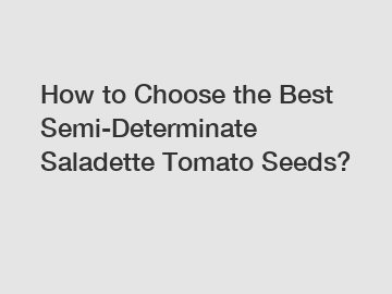 How to Choose the Best Semi-Determinate Saladette Tomato Seeds?
