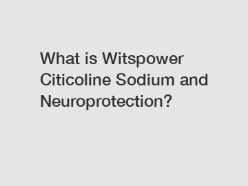 What is Witspower Citicoline Sodium and Neuroprotection?