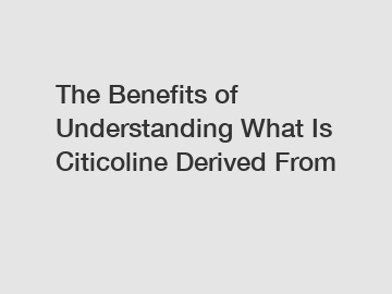 The Benefits of Understanding What Is Citicoline Derived From