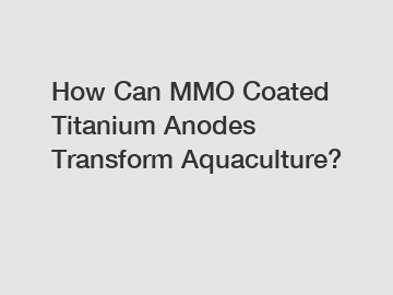 How Can MMO Coated Titanium Anodes Transform Aquaculture?