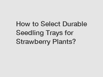 How to Select Durable Seedling Trays for Strawberry Plants?