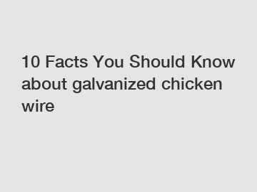 10 Facts You Should Know about galvanized chicken wire