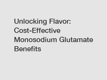 Unlocking Flavor: Cost-Effective Monosodium Glutamate Benefits