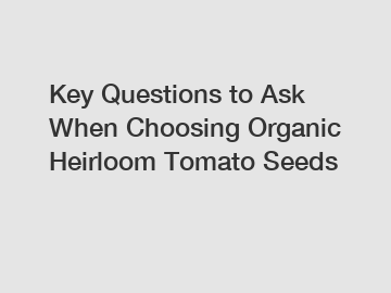 Key Questions to Ask When Choosing Organic Heirloom Tomato Seeds