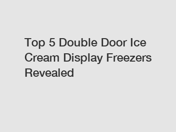 Top 5 Double Door Ice Cream Display Freezers Revealed