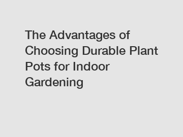 The Advantages of Choosing Durable Plant Pots for Indoor Gardening