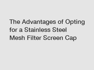 The Advantages of Opting for a Stainless Steel Mesh Filter Screen Cap