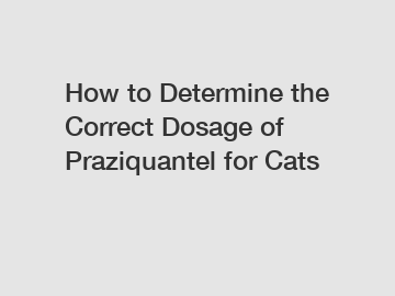 How to Determine the Correct Dosage of Praziquantel for Cats