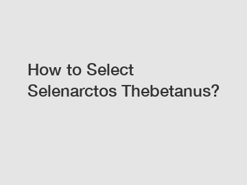 How to Select Selenarctos Thebetanus?