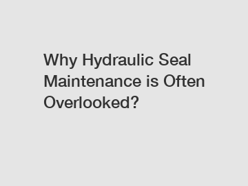 Why Hydraulic Seal Maintenance is Often Overlooked?