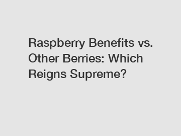 Raspberry Benefits vs. Other Berries: Which Reigns Supreme?
