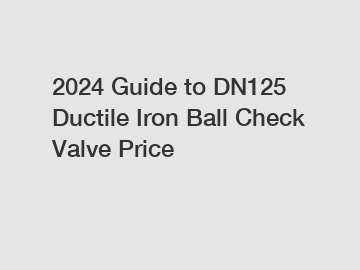 2024 Guide to DN125 Ductile Iron Ball Check Valve Price