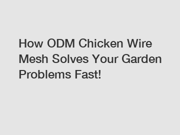How ODM Chicken Wire Mesh Solves Your Garden Problems Fast!