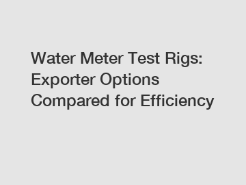 Water Meter Test Rigs: Exporter Options Compared for Efficiency